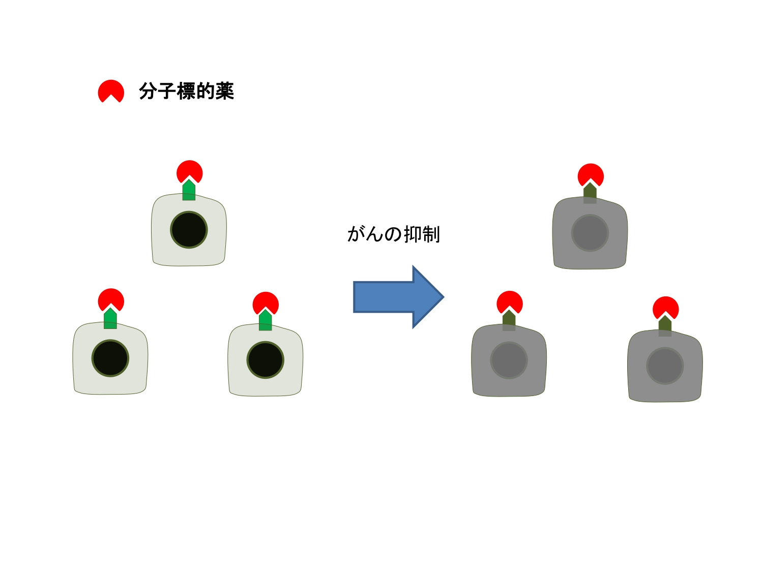 分子標的薬２